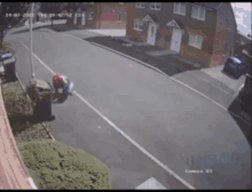 Really GIF