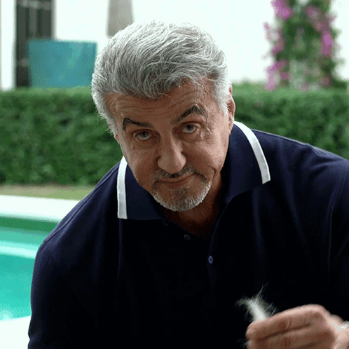 Really Sylvester Stallone GIF