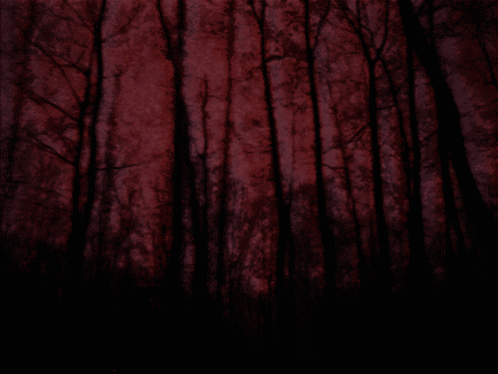 Red Aesthetic Woods GIF