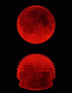 Red Blood GIF