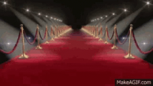 Red Carpet Ball Events GIF