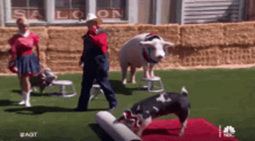 Red Carpet Ball Events GIF