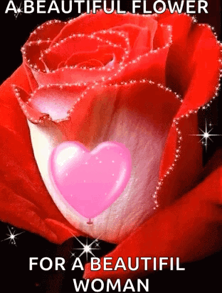 Red Rose GIF