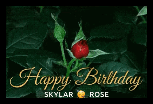 Red Roses Blooming GIF