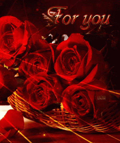 Red Roses I Love You GIF