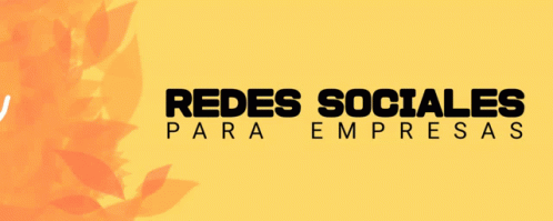 Redes Redes Sociales GIF