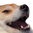 Ree Dog Sticker