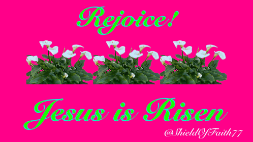 Rejoice Jesus Is Risen Mathew Mark Luke John Preach Hallelujah Empty He Is Not Here Go And Tell Good News GIF