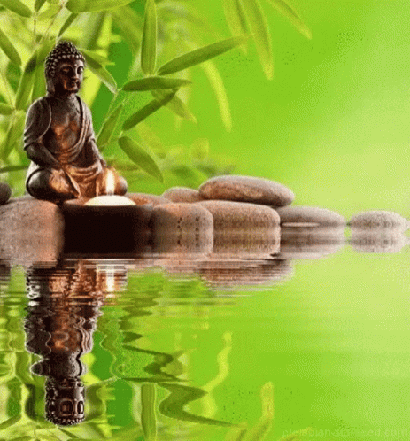 Relajarse GIF