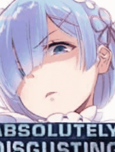 Rem Re Zero GIF