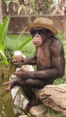Rest Holidays GIF