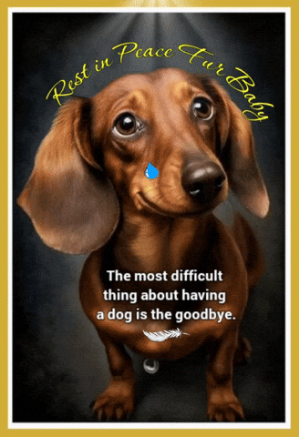 Rest In Peace Dogs GIF