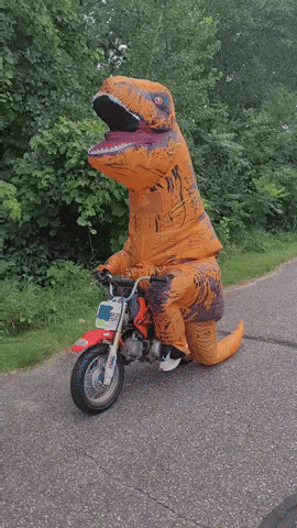 Rexy Roxy GIF