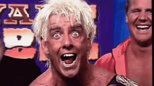 Ric Flair Wooooo GIF