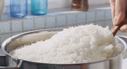 Rice GIF
