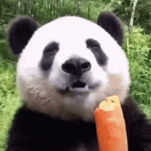Ridewithp GIF