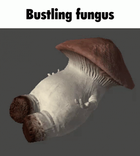 Risk Of Rain2 Bungus GIF