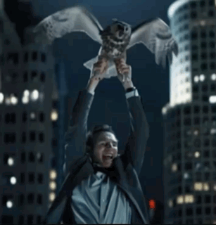 Rita Pita Memes Flying GIF