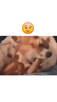Rizz Riz Dog GIF