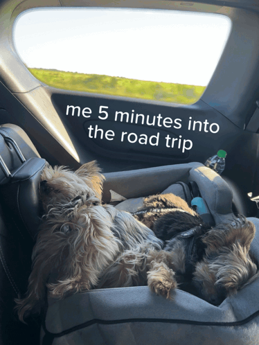 Road Trip Roadtrip GIF