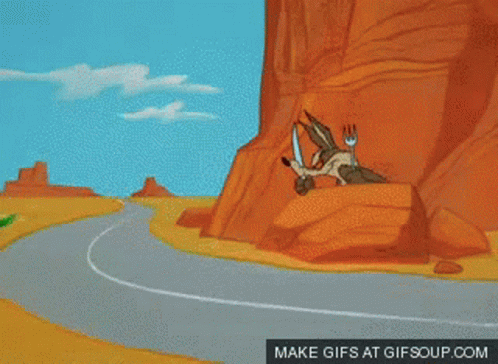 Roadrunner Coyote GIF