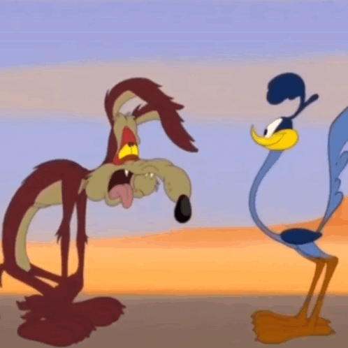 Roadrunner Wile E Coyote GIF