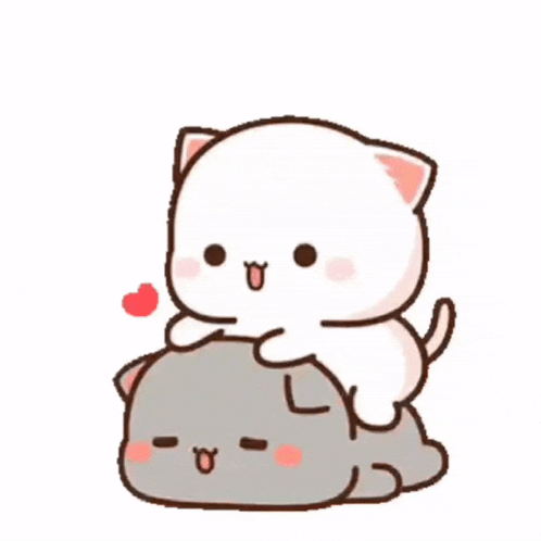 Robert Cat GIF