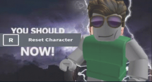 Roblox GIF