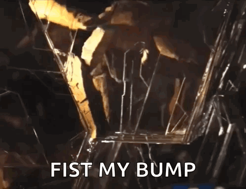 Rocky Fist Bump GIF