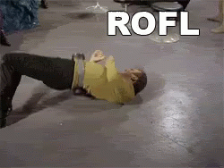 Rofl GIF