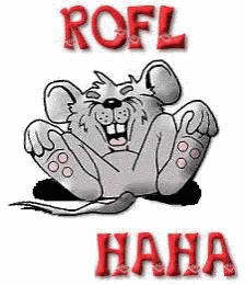 Rofl Lol GIF