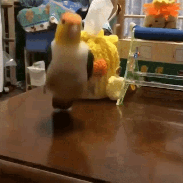 Rojo Rojo Skacze GIF