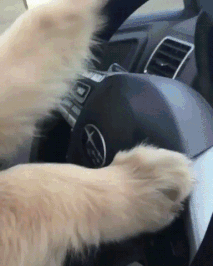 Rollin They See Me Rollin GIF