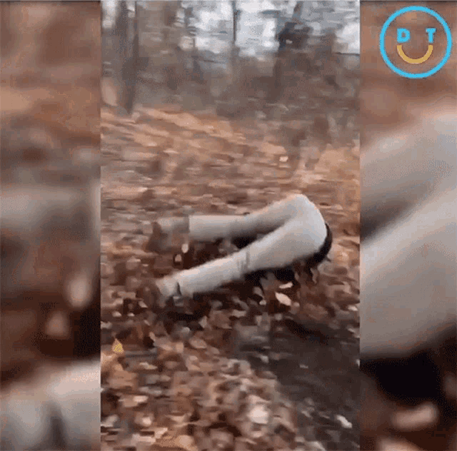 Rolling Tumble GIF