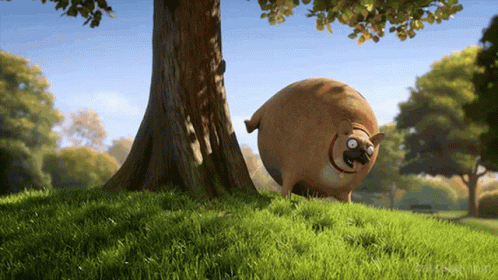 Rolling Wild Dog GIF
