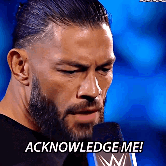Roman Reigns Wwe Universal Champion GIF