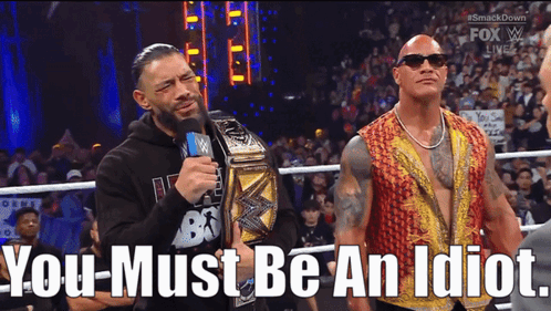 Roman Reigns You Must Be An Idiot GIF
