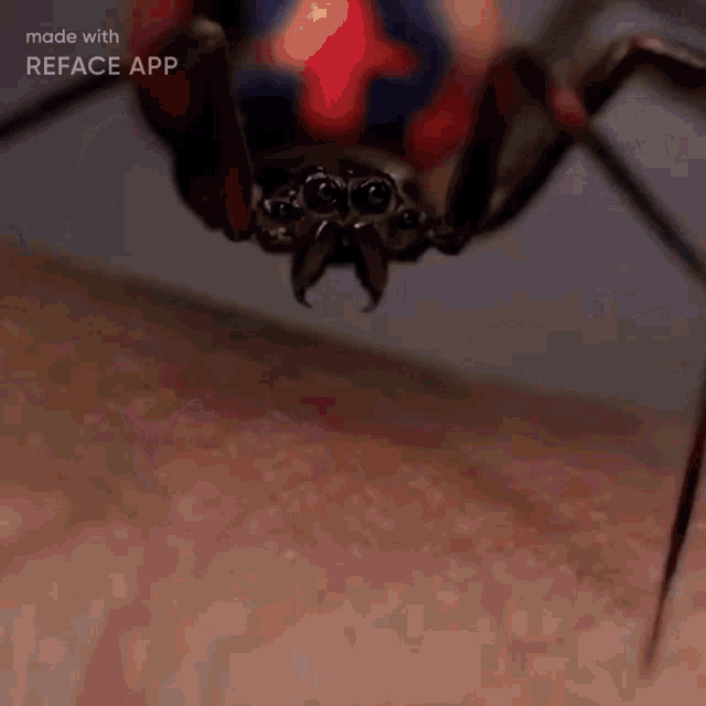 Rondillo Spiderman GIF