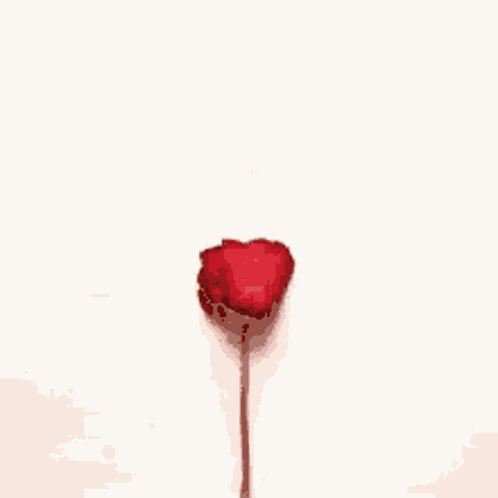 Rose Cœur Rouge GIF