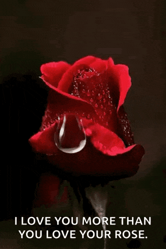 Rose Condolences GIF