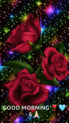 Rose Flower GIF