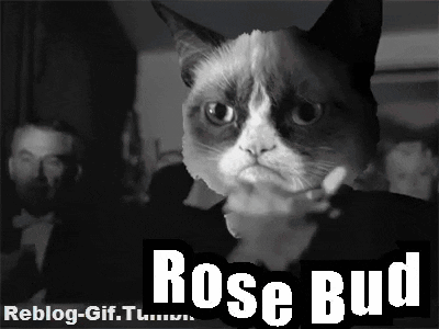Rosebud Orsonwells GIF