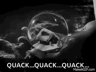 Rosebud The Ordinary Man Of Cinema GIF