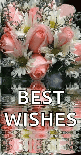 Roses Pink GIF