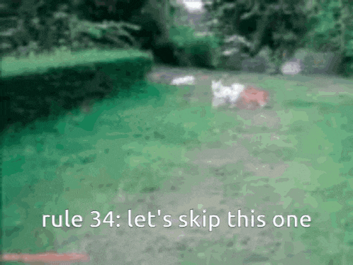 Rule 34 GIF