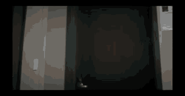 Run Miw GIF