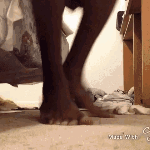 Run Run Away GIF