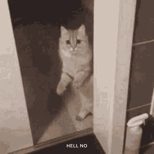 Run Running GIF