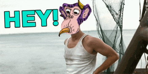 Sabc GIF