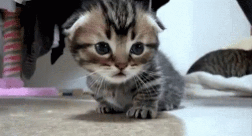 Sad GIF